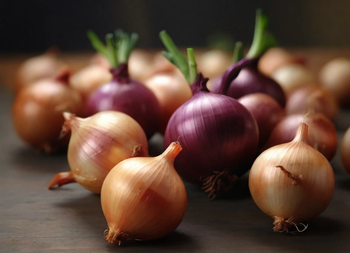 Onion