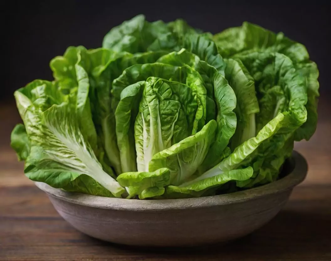 Romaine lettuce